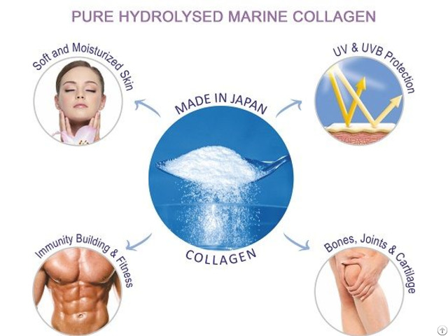 Collagen Peptide Trends And Facts In Japan