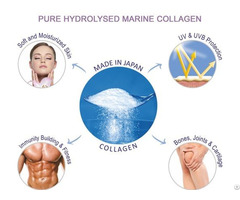 Collagen Peptide Trends And Facts In Japan