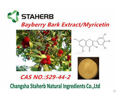 China Bayberry Bark Extract Myricetin