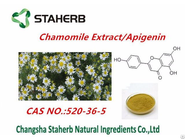 Chamomile Flower Extract Apigenin