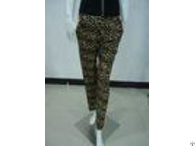 Leopard Print Women S Fashion Leggings Ladies Velvet Trousers Pants With Side Pockets