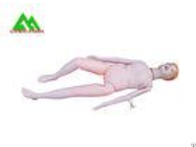 Advanced Pvcmedical Teaching Models Nursing Patient Care Manikin Full Body