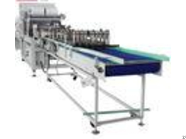 Industrial Bottle Packing Machine With Heat Seal Cool Cutting System