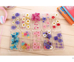 Tpu High Quality Soft Handmade Real Flowers Mobile Phone Cases