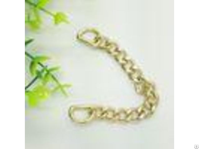 Handbag Hardware Purse Accessories Metal Chain With D Ring For Bags Handle