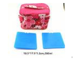 Fda Approved 260ml Thermal Hard Block Ultra Thin Ice Pack For Cooler Bag
