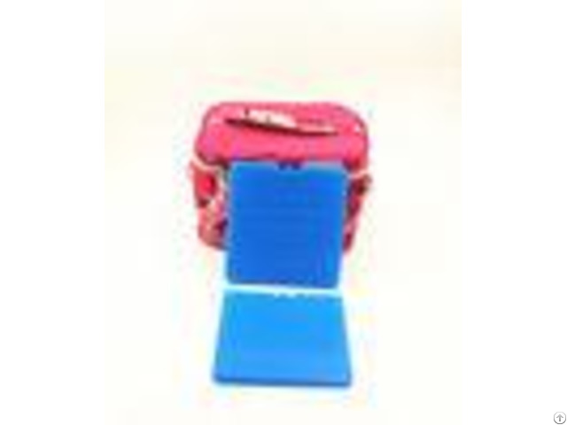 Portable Hdpe Plastic Reusable Ultra Thin Ice Pack For Cooler Cold Packs