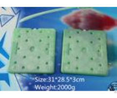 Fda Hard Plastic Reusable Cool Bag Freezer Blocks Eutectic Cold Plates