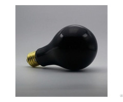 Reptile Black Night Light Bulb A23 150w