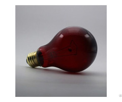 Reptile Nightlight Red Heat Bulb A23 150w