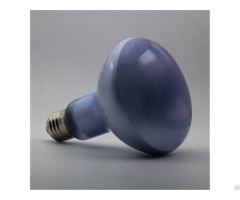 Reptile Daylight Neodymium Basking Lamp R30 R95 150w
