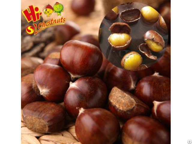 Organic Fresh Chestnuts