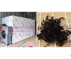 Seeweed Dryer