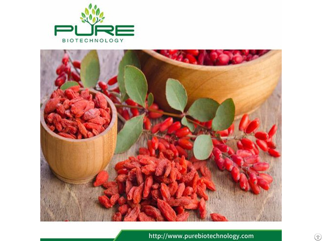 Organic Dried Fruit Goji Berry