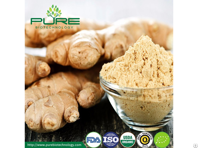 Organic Dried Ginger Powder