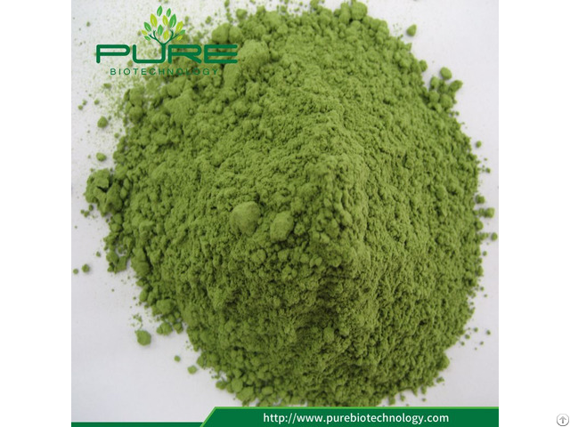 Organic Wheatgrass Powder