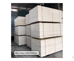Packing Plywood High Quality Competitive Price To Thailand Market