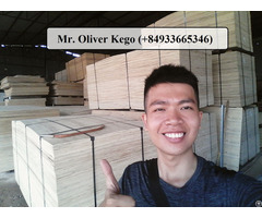 Vietnamese Packing Plywood Shipping To Asia