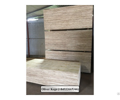 Vietnamese Packing Plywood Shipping To Malaysia