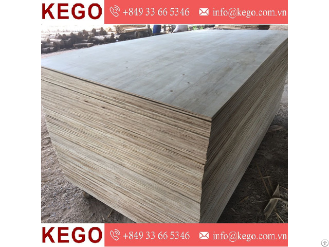 Vietnamese Packing Plywood Affordable Price And High Quality