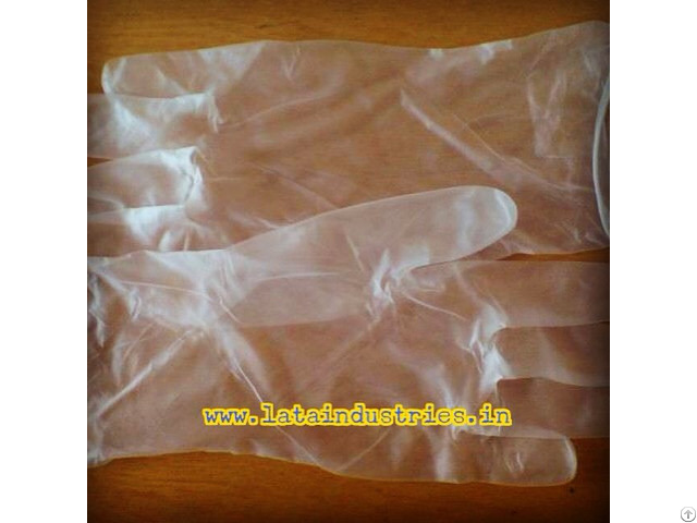 Vinyl Gloves Powder Free