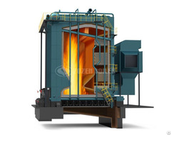 Dhl Series Biomass Fired Steam Boiler