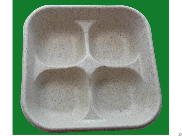 High Quality Biodegradable Custom Disposable Four Food Tray Paper Plates