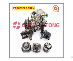 Distributors Diesel Fule Engine Parts 6cyrcle Head Rotor 096400 1330 Ve Pump