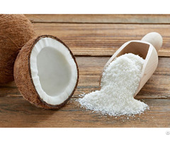 Desiccated Coconut Low Fat