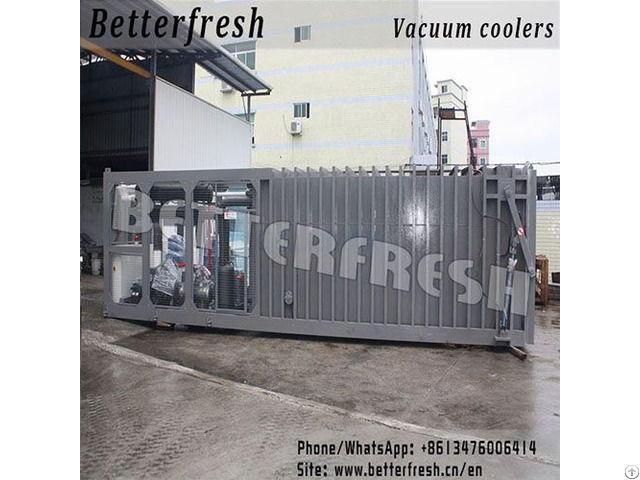 Leafy Pallets Vacuum Cooler