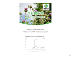 Artichoke Extract 5 Percent Cynarin