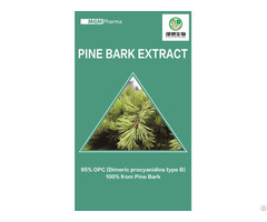 Pine Bark Extract 95 Percent Proanthocyanidins