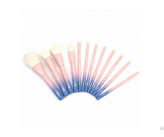 Vdl China Factory Private Label Nylon Hair Color Handle Facial Makeup Brush Set