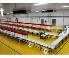 China Automatic High Quality Safety New Type Food Bag Packing Belt Conveyer Line