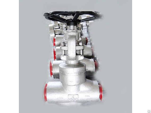 Forged Globe Valve