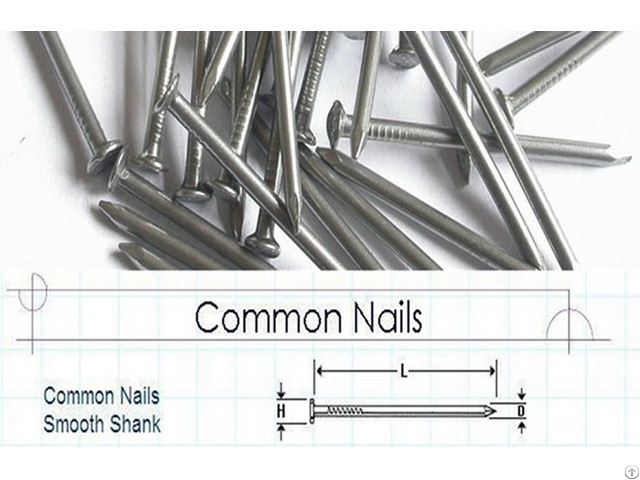 Common Round Iron Nails