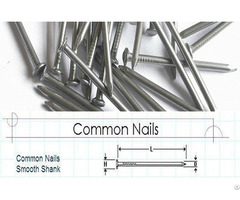 Common Round Iron Nails