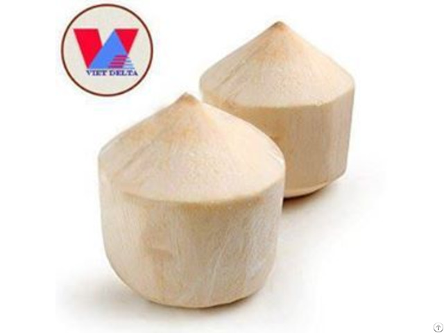 Fresh Young Coconut Viet Nam