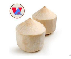 Fresh Young Coconut Viet Nam