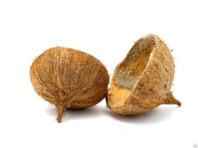 Coconut Shells Viet Nam