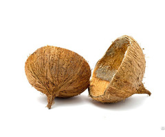 Coconut Shells Viet Nam