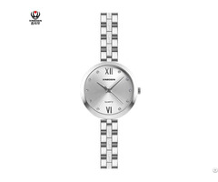 Xinboqin Supplier Women Brand Latest Model Cheap Luxury Casual Pc21 Quartz Acetate Watch