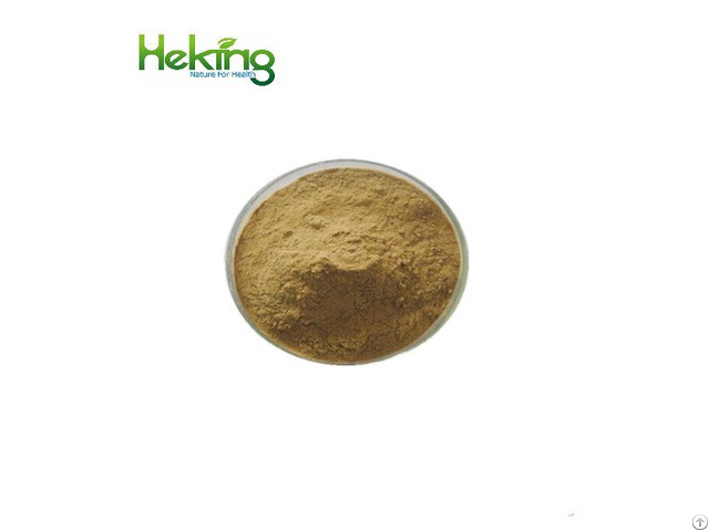 Gmp Reish Mushroom Extract Powder