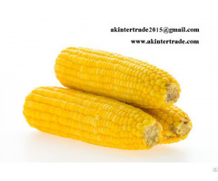 Frozen Sweet Yellow Corn Slice Whole From Thailand