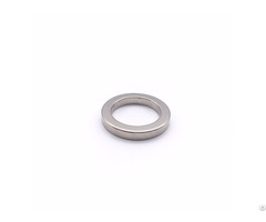 Rare Earth Segment Ring Magnet