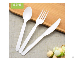 Disposable Cpla Cutlery Set
