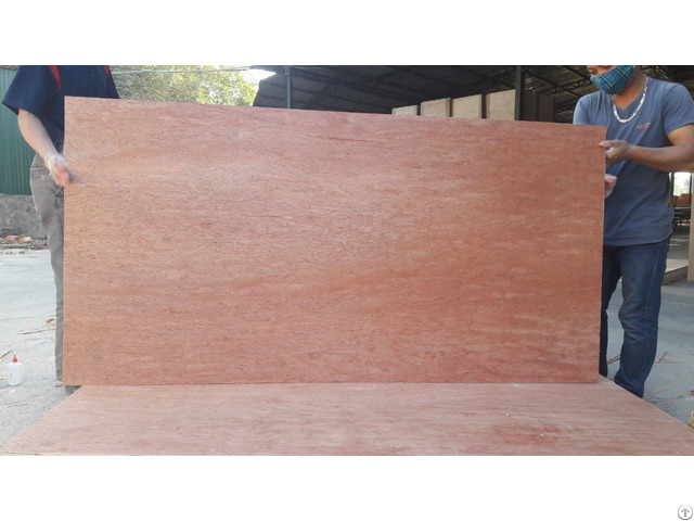 Cheap Commercial Plywood 2 5mm From Vietnam