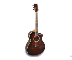 Om Acoustic Guitar Solid Top Type
