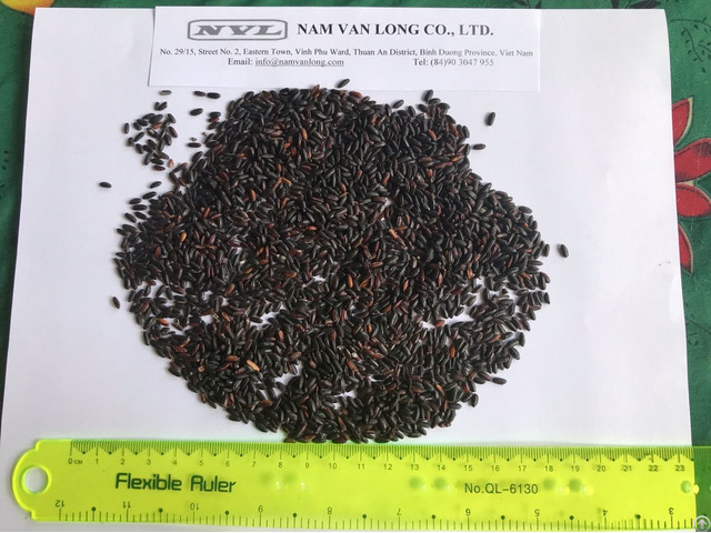 Vietnam Black Rice