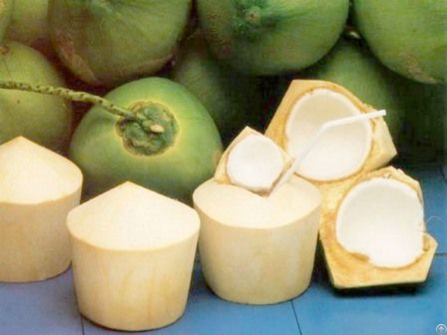 Fresh Young Coconut From Viet Nam